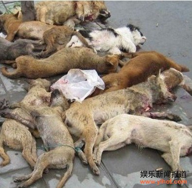 ������ȫ������ ��г����˹�����г��